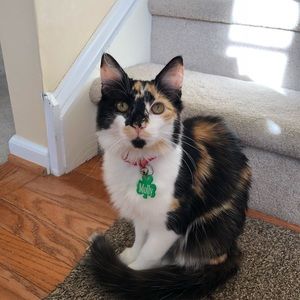 Meet your Posher, Denise